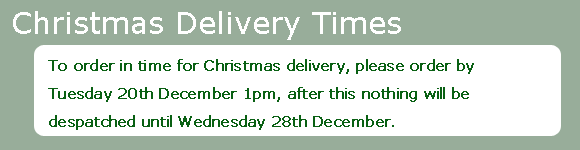 Christmas Delivery 2010