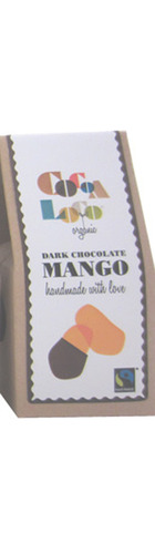 Dark Chocolate-dipped Mango Strips (110g)