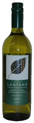 Lantana Semillon/Chardonnay