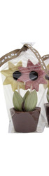 Organic Chocolate Flower Pot