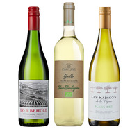 The Party White Selection 2025