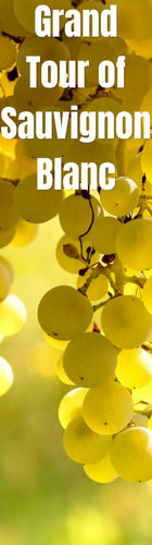 A Grand Tour of.. Sauvignon Blanc