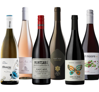 World Pinot Noir Selection