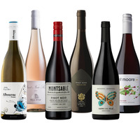 World Pinot Noir Selection