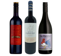 Autumn Red Selection