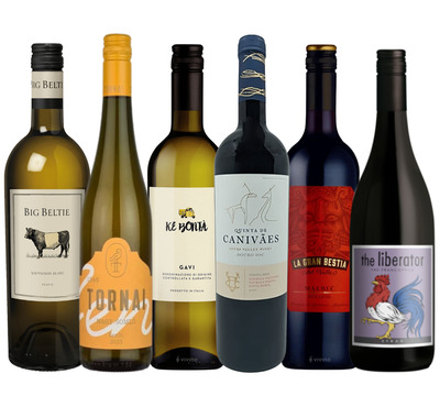Autumn Mixed Selection