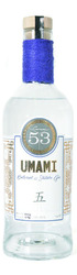 Umami Butternut & Shiitake Gin - 70cl Image
